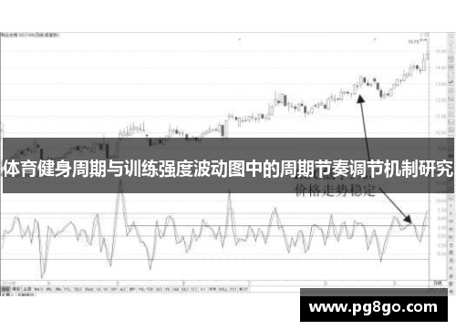 体育健身周期与训练强度波动图中的周期节奏调节机制研究
